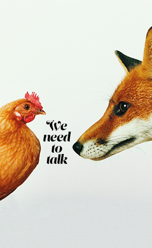 cover image of we need to talk a chicken talking to a fox